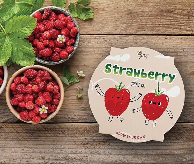 Buzzy Seeds Strawberry Grow Kit - Basin Ceramic Planter - Complete Indoor/Outdoor Gardening Kit with Seeds, Coconut Husk Growing Medium & Genuine Pots - 100% Grow Guarantee