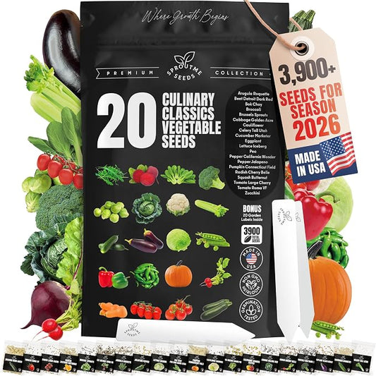 Vegetable Seeds Variety Pack â Tomato, Cucumber, Zucchini, Lettuce, Broccoli & Cabbage â 20 Varieties, 3900+ Non-GMO Heirloom Seeds, Indoor & Outdoor Garden