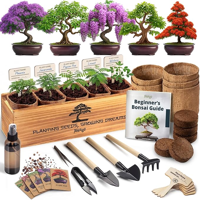 Bonsai Tree Kit Classic - 5X Unique Japanese Bonzai Trees | Complete Indoor Bonsai Starter Kits for Growing Trees – DIY Gardening Gifts for Mother, Women & Men, for Father's Day