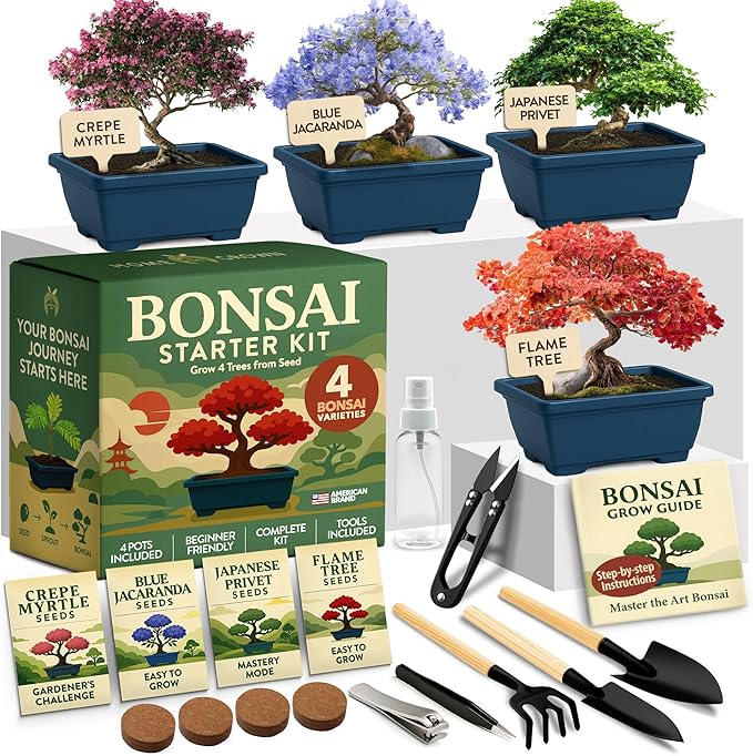 HOME GROWN Bonsai Tree Starter Kit – Unique Christmas Gift for Adults, Men, Women - Grow 4 Bonsais & Indoor Organic Herb Garden Kit – Unique Christmas Gift for Adults, Men, & Women - Grow 4 Herb Seeds