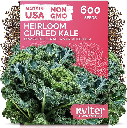 KVITER 600 Vates Blue Scotch Curly Kale Seeds (Brassica oleracea) â Curled Green Kale Seed Packets Heirloom Seed Outdoor & Indoor Home Garden â Cold Hardy Dwarf Vegetable Seeds for Planting