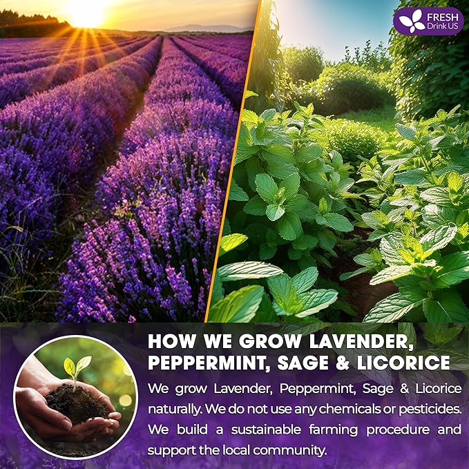 FreshDrinkUS, Premium 55 Tea Bags Lavender Mint Tea, 100% Natural, Blend of Lavender, Peppermint, Sage and Licorice. Made with Natural Material Tea Bags. No Sugar, No Caffeine, Vegan.