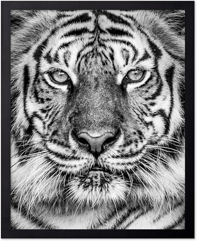 Poster Master Vintage Tiger Face Print