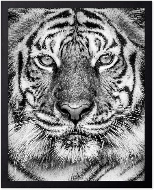 Poster Master Vintage Tiger Face Print