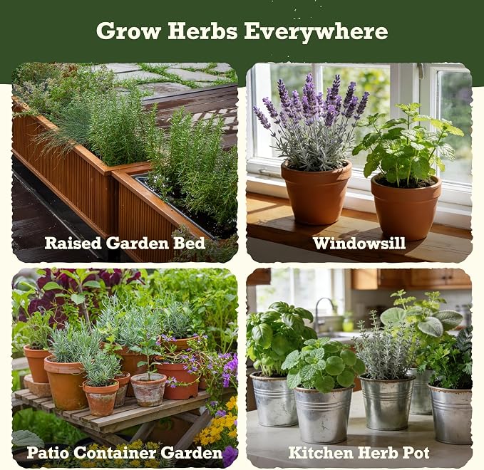 Lush&Dew Holistic Family Apothecary Seed Chest, 30,000+ Medicinal Herb Survival Seed Kit, Gardening Gifts for Women Men, 32 Varieties Heirloom Non-GMO Culinary Herb Seeds for Raised Bed Windowsill