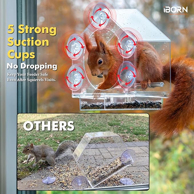 iBorn 2026 New Window Bird Feeders for Outdoors Wind-Proof Tray Lock,Cardinal Bird Feeder with Strong Suction Cups for Window Birds Watching, Chewproof PC, for Parent &Child