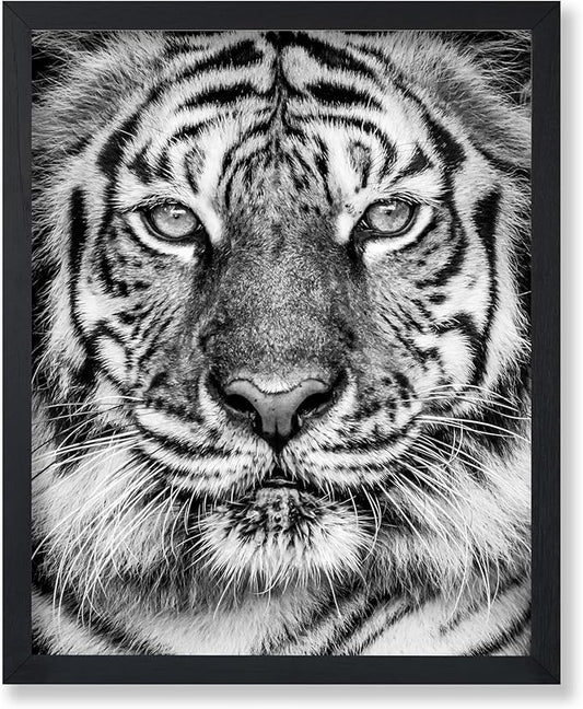 Poster Master Tiger Print