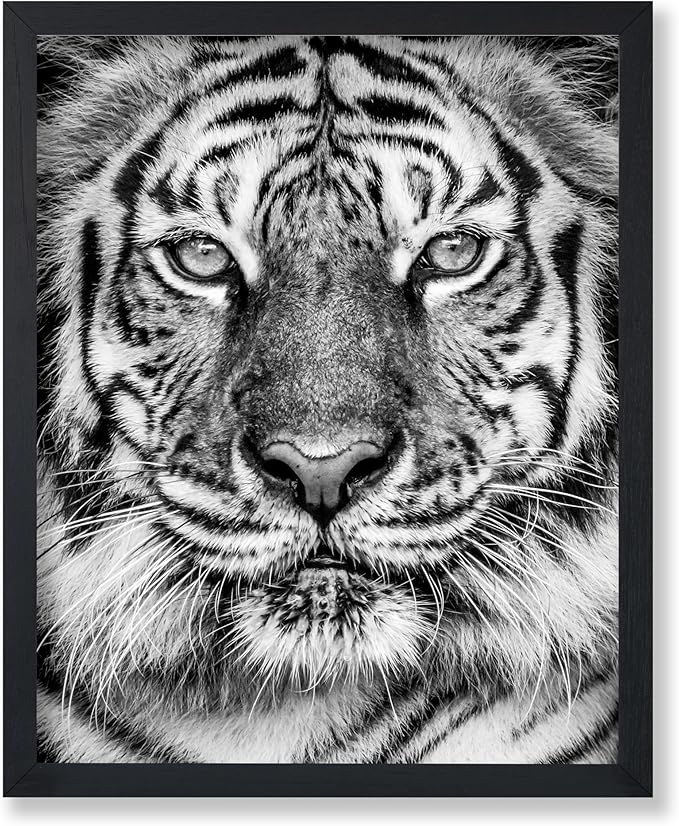 Poster Master Tiger Print