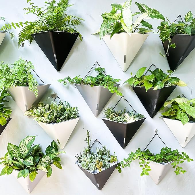 LaLaGreen Wall Planters for Indoor Plants