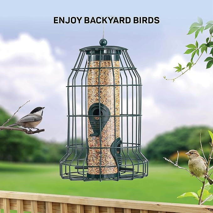 Squirrel Resistant Bird Feeders 22 oz. Bird Feeder with 4 Perches for Small Backyard Birds ONLY. Bird Feeder Squirrel Proof/Chew Proof/Rustproof. Fill with Wild Bird Seed for Outside Feeders