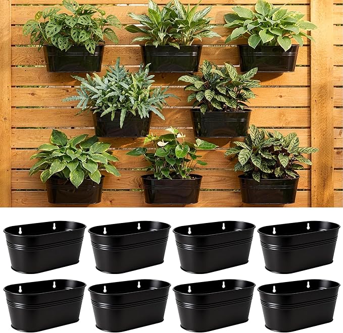 LaLaGreen Wall Planter Black Oval Metal Hanging Decor Plant Holder Indoor Wall