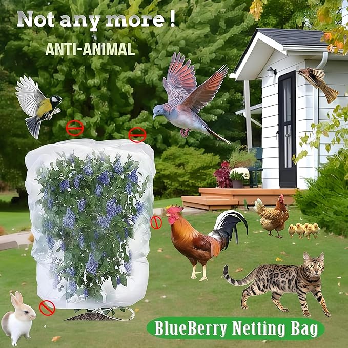 Fruit Tree Netting (3P 3.3x2.6 FT + 3P 5x4 FT)- Easy Install Plant Protection Cover, Reusable Garden Mesh Bag for Blueberry Bushes/Tomato - Block Birds/Insect/Squirrels