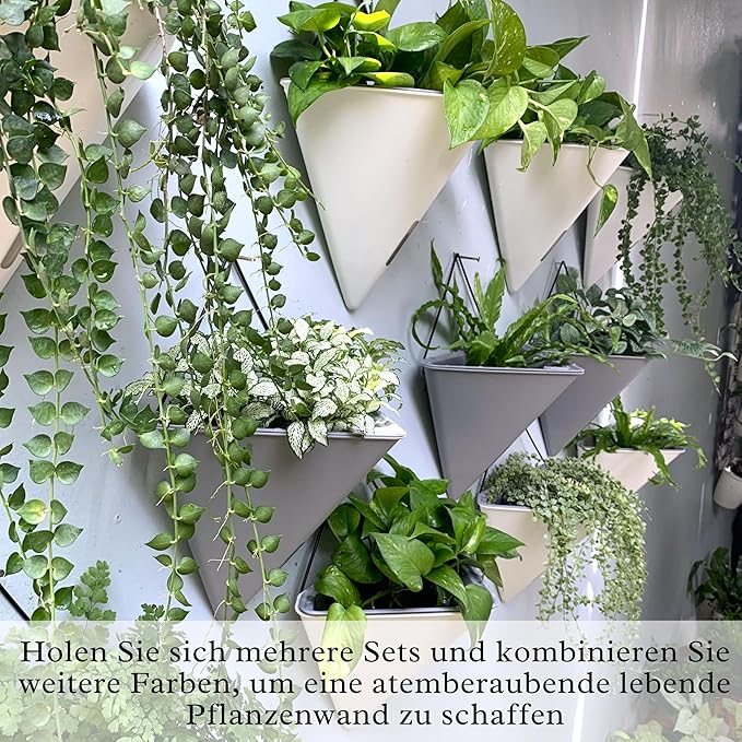 LaLaGreen Wall Planters for Indoor Plants