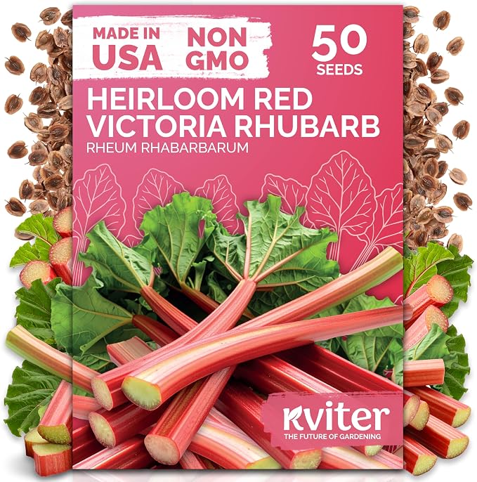 KVITER 50 Red Victoria Rhubarb Seeds for Planting (Rheum Rhabarbarum) â Heirloom Seeds, Perennial Vegetable Seeds â Perfect for Rhubarb Jam & Pies, Grow in Beds & Outdoor Garden