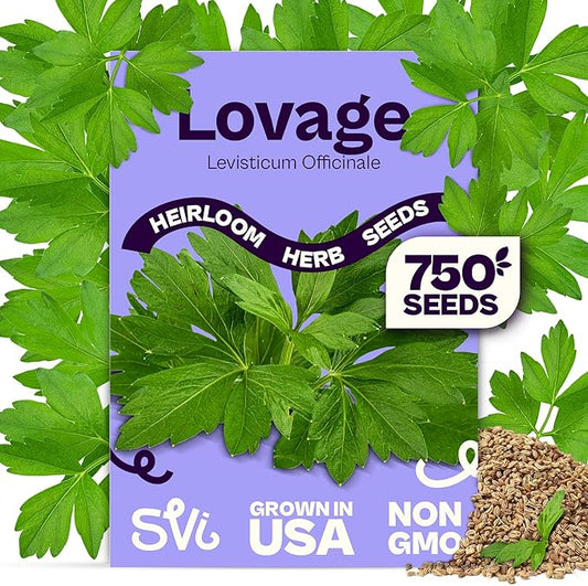 SVI 750 Lovage Seeds (Levisticum officinale) â Lovage Medicinal & Culinary Herb Seed Packets â Heirloom Perennial Herbs Seeds for Vegetable Garden Outdoor & Indoor Kitchen Herb Garden