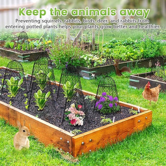 8 Pcs Garden Cloches for Plants, Metal Extra Large Chicken Wire Cloche Plant Covers, Garden Netting Plant Protectors from Animals to Keep Squirrel, Rabbit, Chicken and Bird Out 17" H x 13" D Black