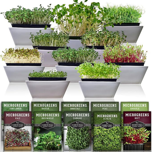 Microgreen Seeds Variety Pack â 10 Heirloom Types for Indoor Sprouting â Broccoli, Pea, Sunflower, Radish, Kale, Arugula & More â High Germination Non-GMO â Survival Garden Seeds (Seed Packs Only)