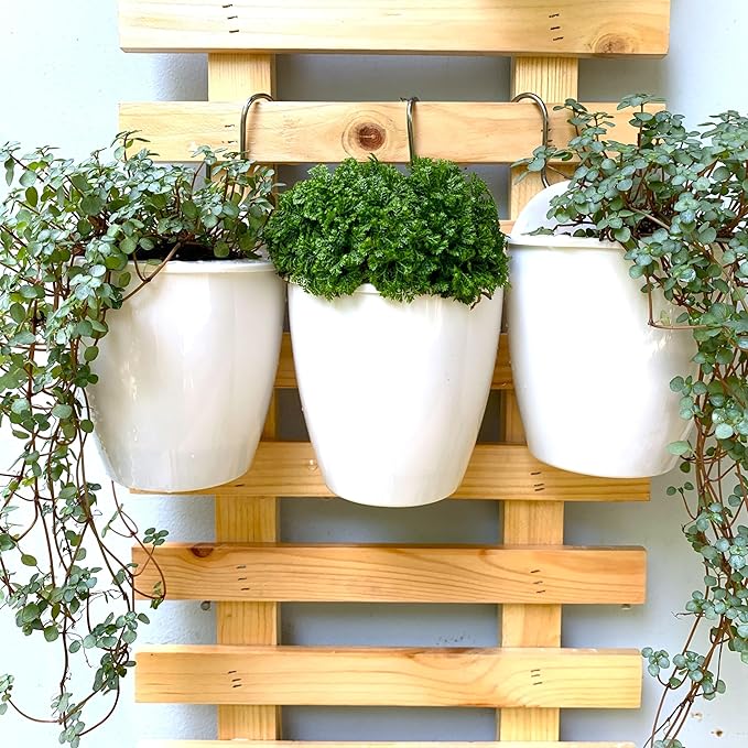 LáLáGreen Wall Planters for Indoor Plants