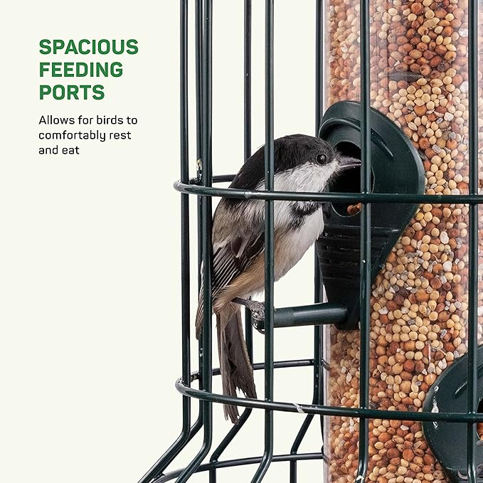 Squirrel Resistant Bird Feeders 22 oz. Bird Feeder with 4 Perches for Small Backyard Birds ONLY. Bird Feeder Squirrel Proof/Chew Proof/Rustproof. Fill with Wild Bird Seed for Outside Feeders