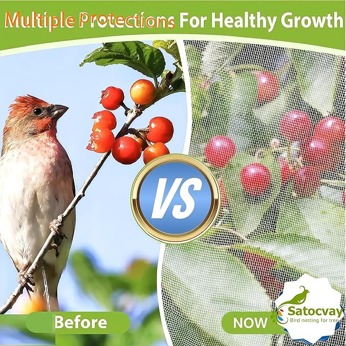 Fruit Tree Netting with Drawstring & Zipper - 4 Pack 10×10 FT - Reusable Plant Protection Bag, Heavy Duty PE Mesh Cover for Blueberry Bushes - Blocks Birds/Deer/Squirrels