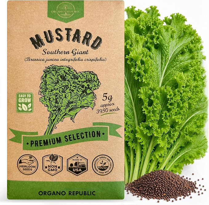Organo Republic Mustard Southern Giant Seeds Pack 5 G - Over 3,950 Non-GMO Heirloom Mustard Seeds for Planting Greens in Individual Seed Packet, Greens Seeds for Planting Home Garden Indoor & Outdoor