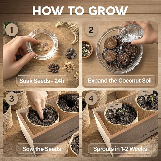 Bonsai Tree Kit Classic - 5X Unique Japanese Bonzai Trees | Complete Indoor Bonsai Starter Kits for Growing Trees – DIY Gardening Gifts for Mother, Women & Men, for Father's Day