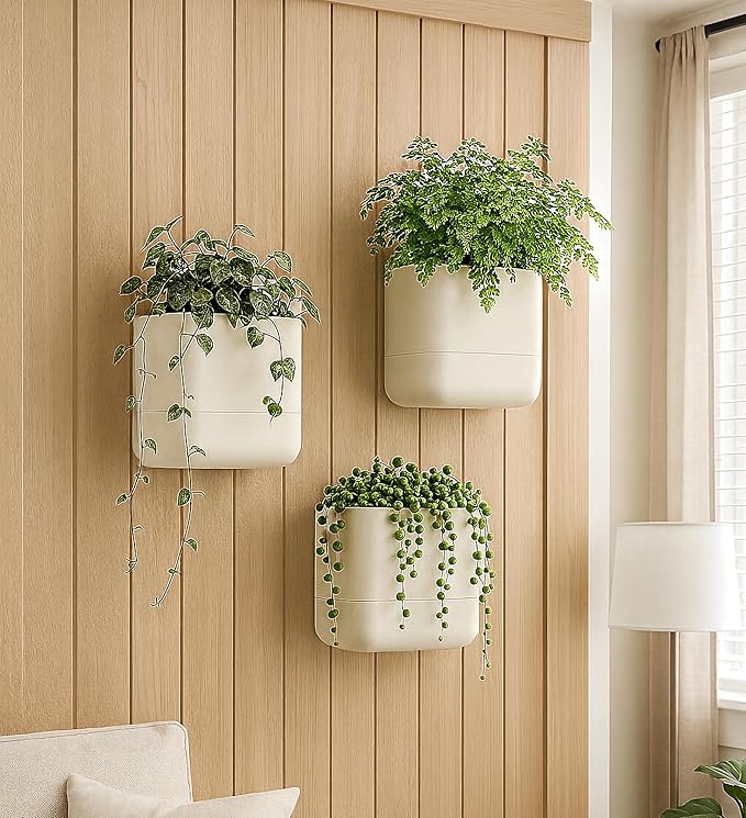 Phoenix Vine 6.5 Inch Wall Mounted Self-Watering Planter Pots