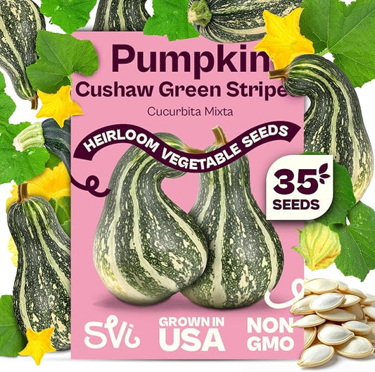 SVI 35 Cushaw Green Striped Pumpkin Seeds (Cucurbita mixta) â Cushaw Squash, Non GMO Winter Squash Seed Packets â Heirloom Vegetable Seeds for Planting Outdoors in Home Garden & Raised Beds