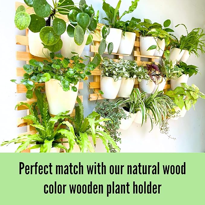 LaLaGreen Wall Mounted Planters