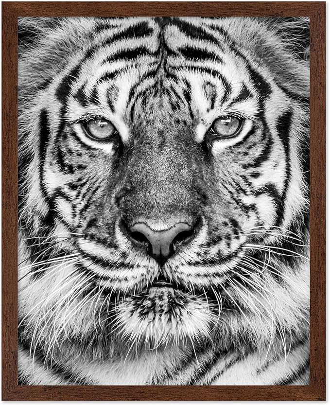 Poster Master Tiger Print