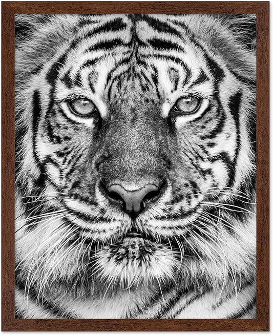 Poster Master Vintage Tiger Face Print