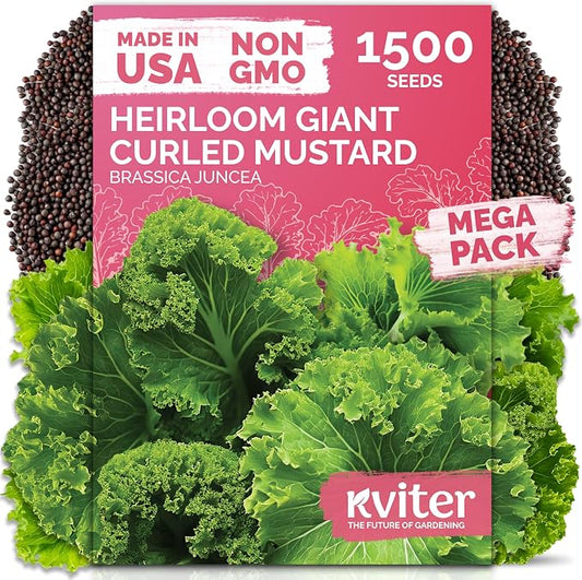KVITER 1500 Southern Giant Curly Mustard Seeds (Brassica juncea) â Non GMO Heirloom Fast Growing Mustard Seed Packets â Vegetable Seeds for Planting Leafy Greens for Home Garden Spring & Fall Planting