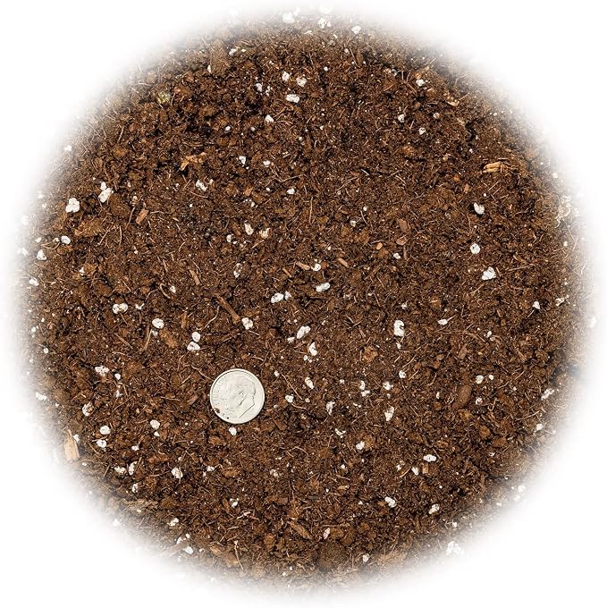 GARDENERA Money Tree Potting Soil Mix for Planting or Repotting Guiana Chestnut, Soil Blended to Properly Grow Money Tree Plants (4 Quart Bag)