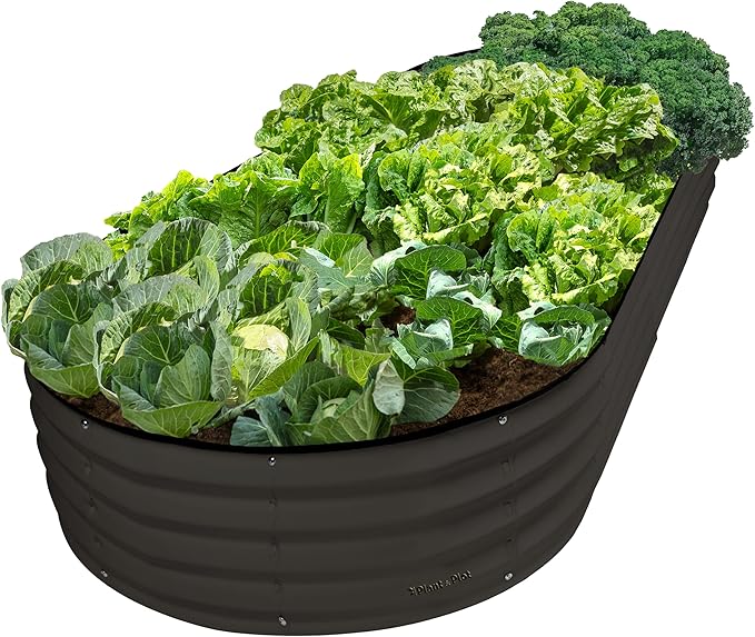Plant & Plot Galvanized Raised Garden Beds Outdoor // 8Ã4Ã1 ft Planter Raised Beds for Gardening, Vegetables, Flowers // Large Metal Garden Box // Patented Tool-Free Design (Black)