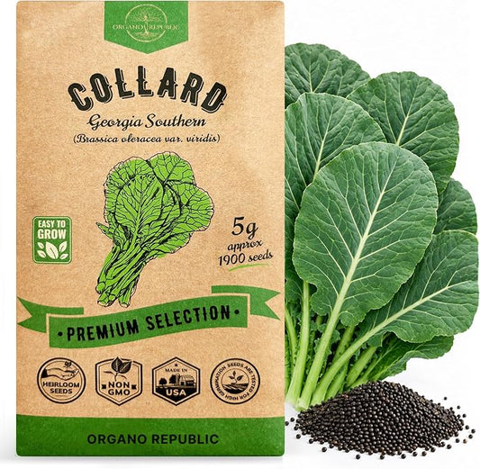 Organo Republic Collard Georgia Southern Seeds Pack 5G - Over 1900 Non-GMO Heirloom Collard Seeds for Planting Vegetable in Individual Seed Packet Vegetables Seeds for Planting Indoor & Outdoor