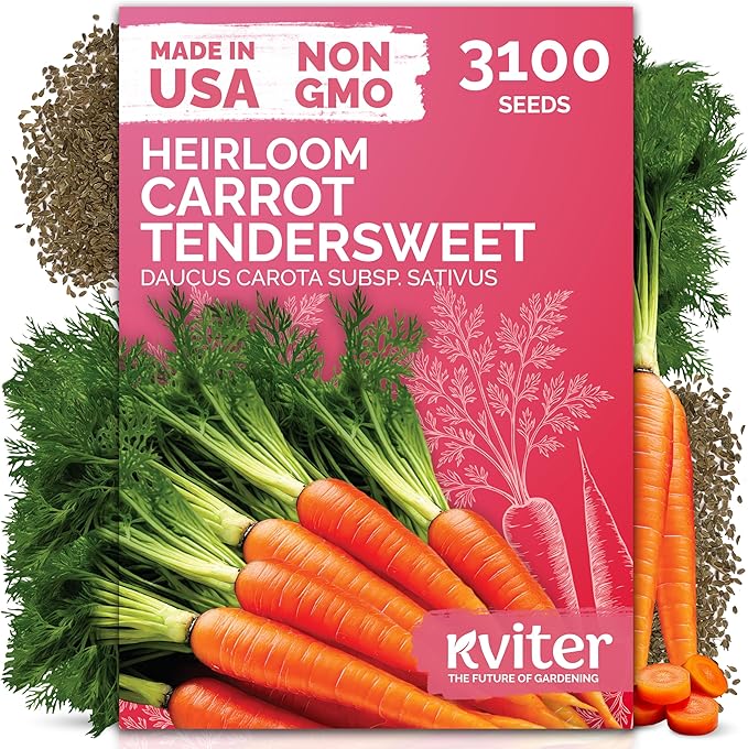 KVITER 3100 Tendersweet Carrot Seeds for Planting (Daucus carota) âNon GMO Vegetable Seeds for Outdoor Garden â Sweet Heirloom Carrots â Carrot Seed Packets for Home Garden, Beds, Containers