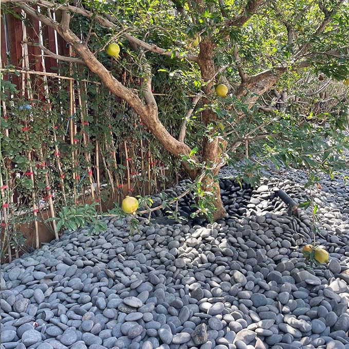FANTIAN 40 lbs Bulk Black River Rocks for Landscaping, 3-4 Inch Mexican Beach Pebbles, Decorative Black Stones for Planters Garden Fish Tank Walkways and Outdoor Decorative Stones
