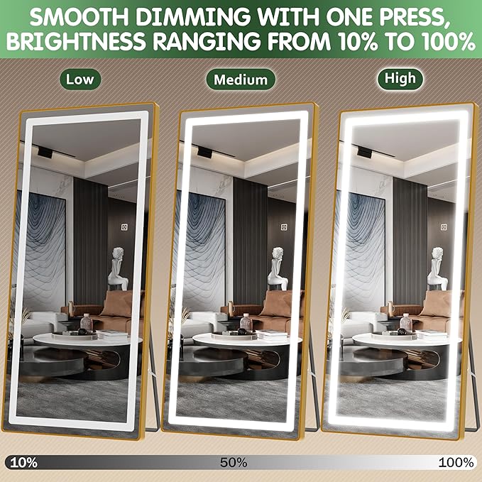 FENNIO Full Length Mirror with Lights, Wall Mounted Hanging Mirror with Lights