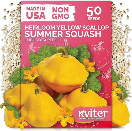 KVITER 50 Patty Pan Yellow Squash Seeds (Cucurbita pepo) â Bush Summer Squash Seed Packets, Scallop Yellow For Outdoor Garden â Non GMO Heirloom Vegetable Seeds For Planting in Home Garden Raised beds
