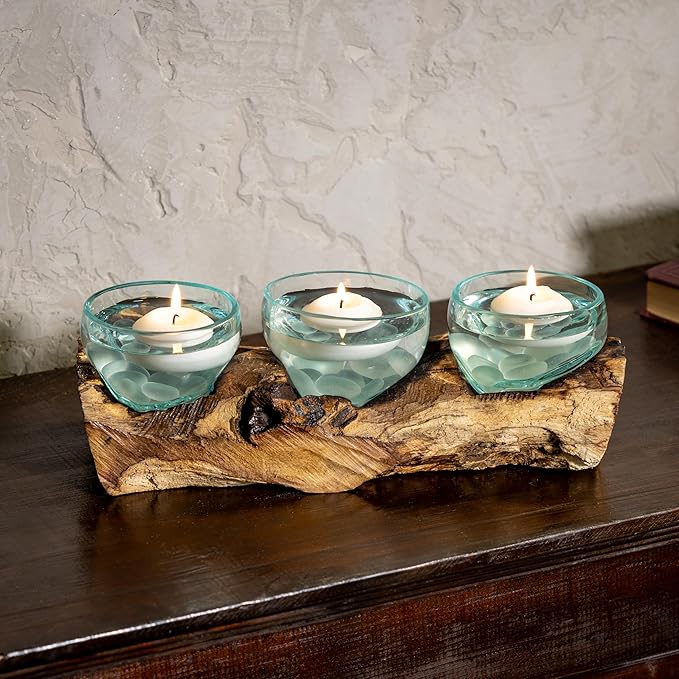 Cape Craftsmen Set of 3 Terrariums | Hand-Blown Blue Tinted Bubble Glasses On Natural Teak Driftwood Terrarium | Home DÃ©cor Indoor Planter with Stand | Glass Clear Pots for Succulent and Plants
