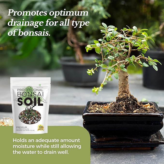 Bonsai Starter Bundle – Premium Bonsai Soil 8.2QT + Tree Training Wire Kit 160ft with Cutter & Canvas Bag – Complete Bonsai Care & Wiring Set for Beginners & Pros