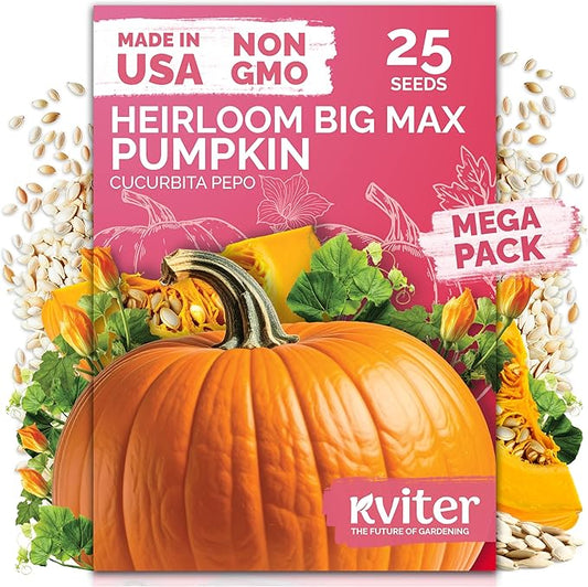 KVITER 25 Big Max Pumpkin Seeds for Planting (Cucurbita Pepo) â Giant Heirloom & Pumpkin Seeds, Up to 100 lbs â Ideal Vegetable Seed Packets for Home Outdoor Garden