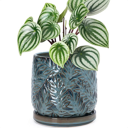D'vine Dev 6 Inch Embossed Leaves Stoneware Planter Pot with Drainage Hole and Saucer, Ocean Teal, 27-A-X-8