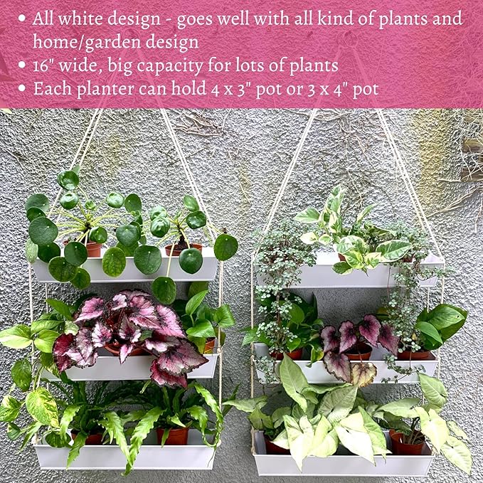 LaLaGreen Hanging Wall Planter