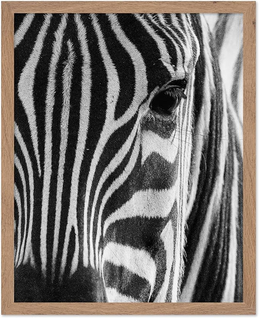 Poster Master Photograph Poster