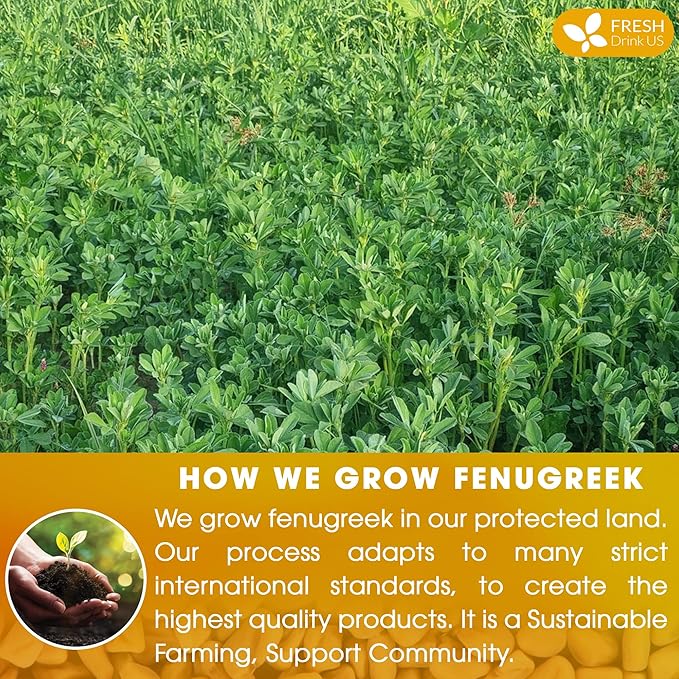 FreshDrinkUS, Premium 30 Fenugreek Tea Bags, 100% Natural & Pure from Fenugreek. Fenugreek Herbal Tea. Made with Natural Material Tea Bags. No Sugar, No Caffeine, No Gluten, Vegan.