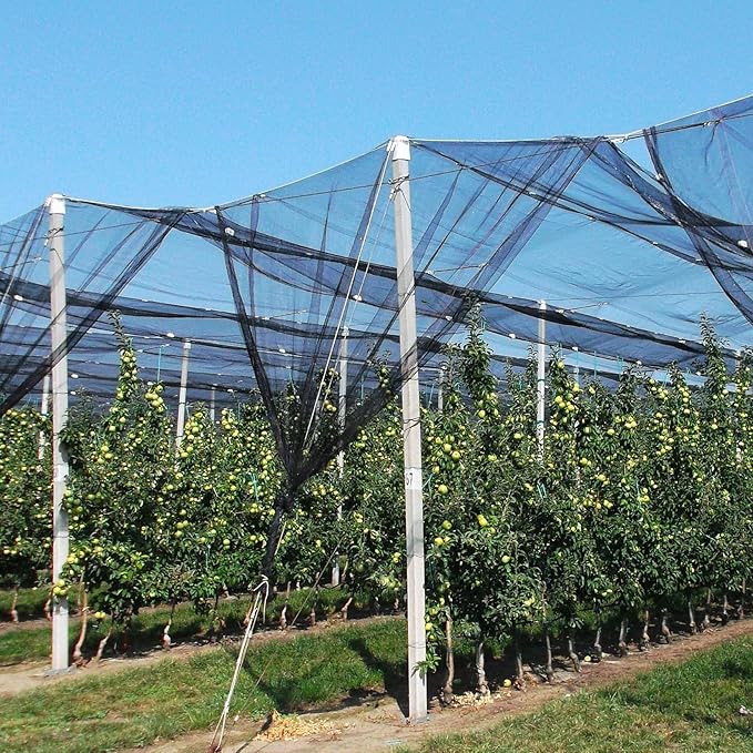 39 x 10 Ft Mosquito Netting, Garden Bird Netting for Patio, Insect Mosquito Net for Plant Protection Breathable Mesh Garden Plant Covers Protect Vegetables Fruits from Birds Bugs