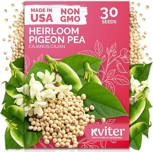 KVITER 30 Guandules Pigeon Peas Seeds for Planting (Cajanus Cajan) â a.k.a Gandules Goya, Gungo Peas, Congo Pea Non GMO â Heirloom Vegetable Seeds to Plant in Outdoor Garden & Trellises
