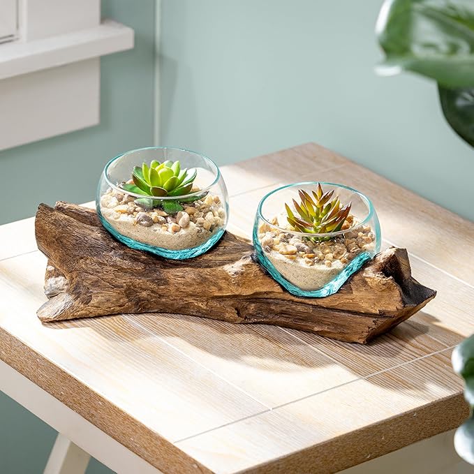 Cape Craftsmen Set of 2 Terrariums | Hand-Blown Blue Tinted Bubble Glass On Natural Teak Driftwood Terrarium | Home DÃ©cor Indoor Planter with Stand | Pot for Succulent and Plants