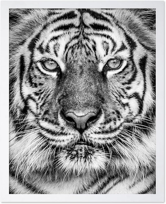 Poster Master Vintage Tiger Face Print